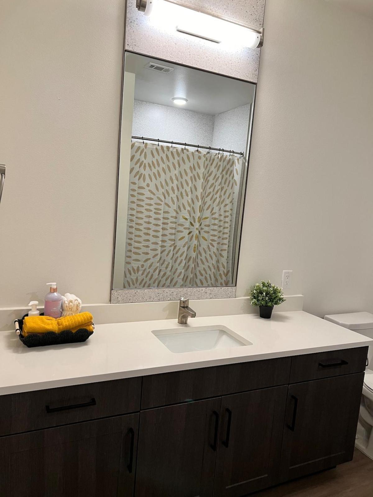 Apartment 2bedroom Unit In Dallasdowntown *